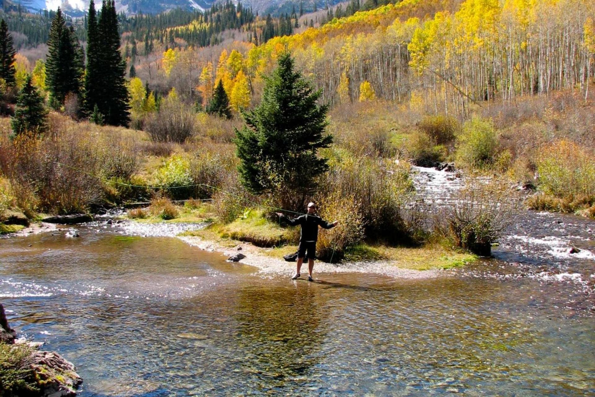 Shadowbrook 103 Βίλα Snowmass Village Εξωτερικό φωτογραφία